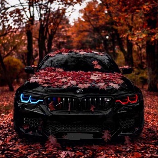 BMW_group official🖤 Telegram Group Link