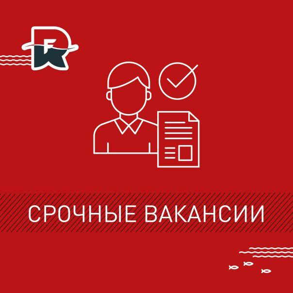 ❗️мангушскому хлебо-комбинату. срочно требуется: 🟢грузчик разнорабочий 🔻график 6/1 с 07.00 до15.00 ▫... - фотография - 1