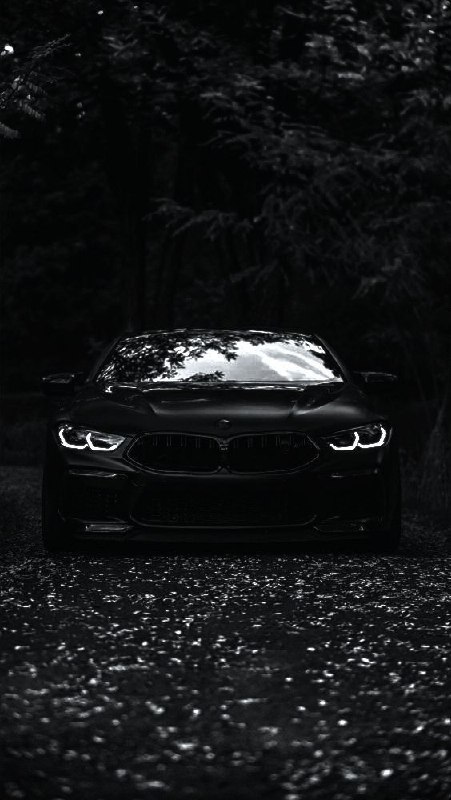 https://t.me/bmw_mpower_club