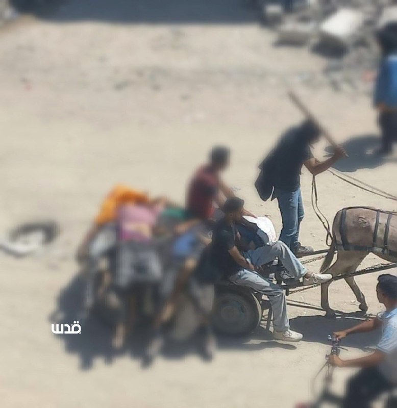 משהד כואב..
