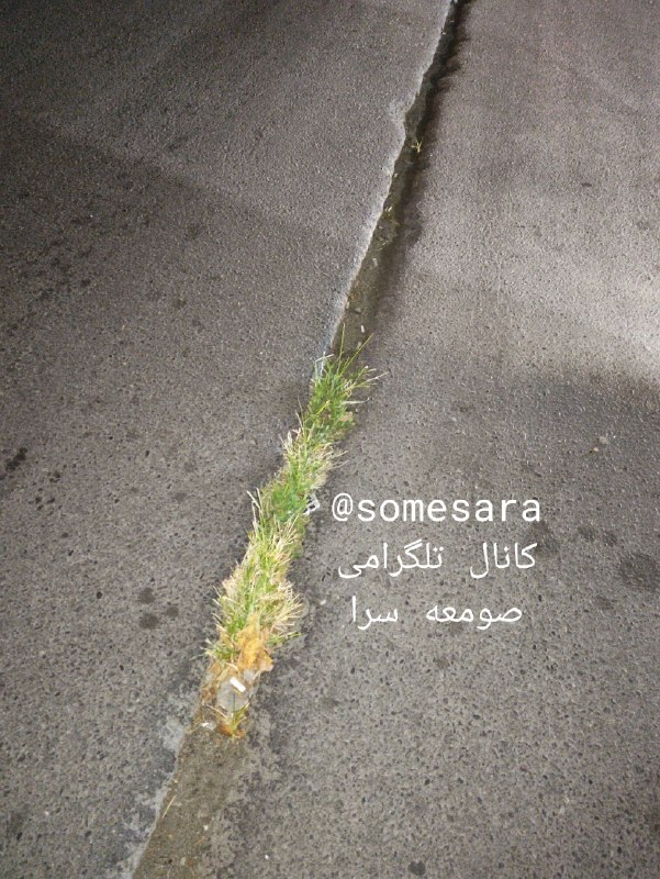 🍀 Somesara: اینقدر طولش دادین که علف سبز شد!!نوار حفاری بلوار سرشاد تا حادثه جدی به وجود نیاره و چرخ دوچرخه و موتور سیکلت داخلش نیوف