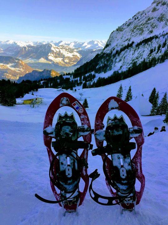 瑞士 | 冬季健行 – 套上熊掌鞋(snowshoes)探索琉森(Lucern)皮拉圖斯山區(Pilatus)