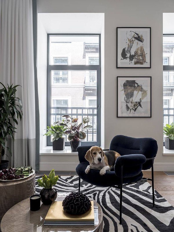 Питомцы в интерьере для вашего хорошего настроения Please open Telegram to view this post VIEW IN TELEGRAM - изображение 6 - telegram, view, питомцы