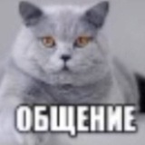 Щпщп сына бляди