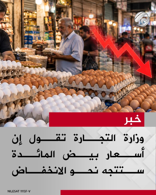 وزارة التجارة تقول إن أسعار بيض المائدة ستتجه نحو الانخفاض