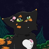 ✨Kazinaka>:3