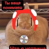 Устр*ца😤