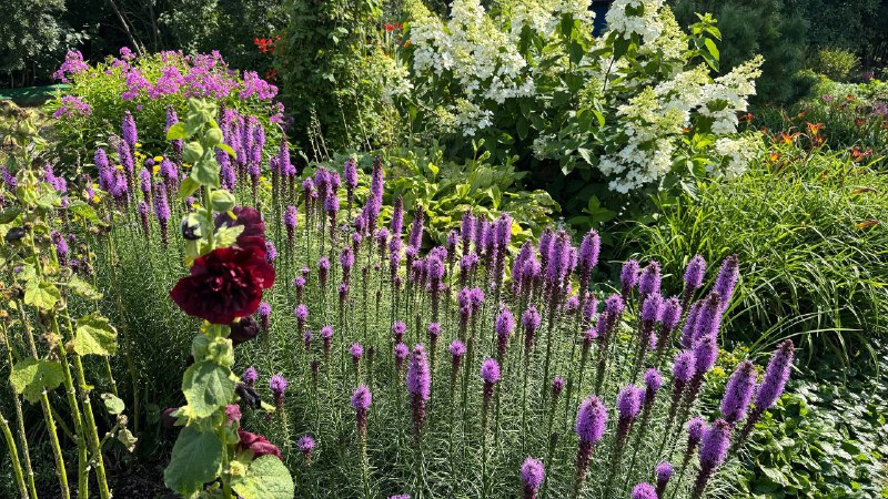 Уехала к бабушке за воспоминаниями из детстваВажная часть жизни, которую я отодвинула в сторону на многие годы — лет 10. Сама себя наказала, отказавшись от такой красоты 😍Уехала к бабушке за воспоминаниями из детстваВажная часть жизни, которую я отодвинула в сторону на многие годы — лет 10. Сама себя наказала, отказавшись от такой красоты 😍