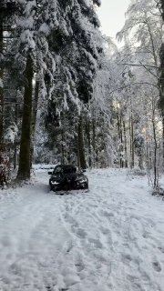 https://t.me/bmw_mpower_club