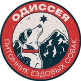 ОДИССЕЯ🐾дневник каюра