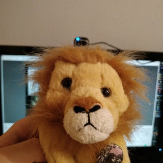Telegram profile photo for Синусоида енота (Ваганыч)