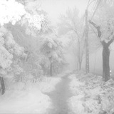 ᅠㅤ ›› 𝑛одслушано . . хв кинны