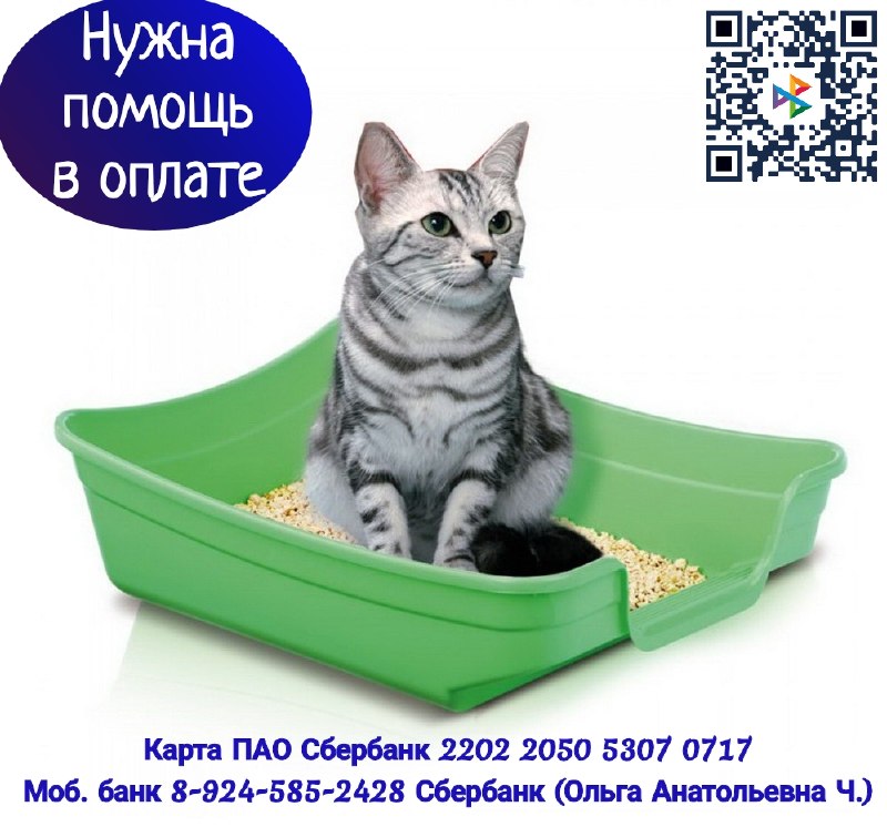 Друзья, мы продолжаем наш сбор на оплату счетов за...