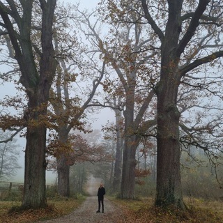 Reinhardswald ist Reinherzwald
