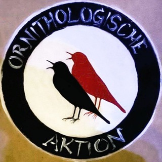 Birding Marburg