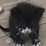 ЧАЙНЫЙ ДОМ♡☕