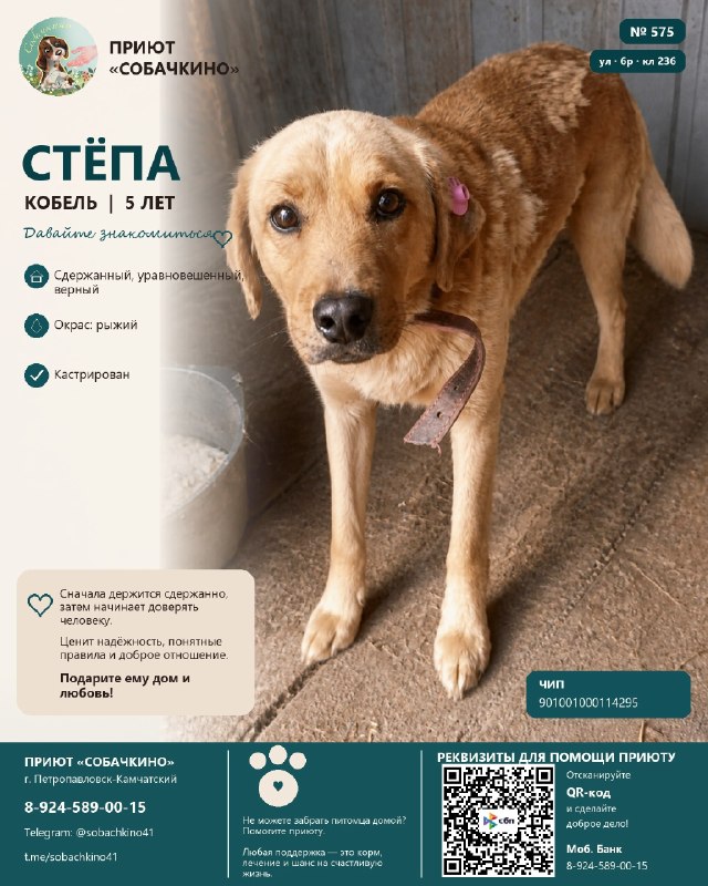 Стёпа ищет дом. ❤️
Тёплый Стёпа с надёжным...