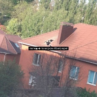 Утром 16 мая в поселке Дубовое в Белгородской области мужчина погиб в результате падения российской фугасной авиабомбы (ФАБ) на жилой дом, власти скрывают причину его гибели, пишет издание «Пепел».Местный оперштаб сообщил, что «в поселке Дубовое погиб мужч