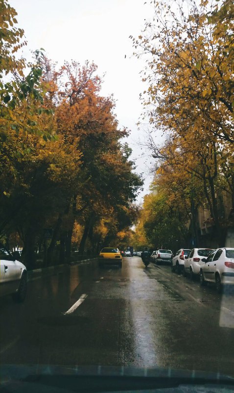 [ احمق … ]: از سری عکسای "درد و بلای این هوا بخوره تو سر تابستون." :)))@ahmaq #Lasso
