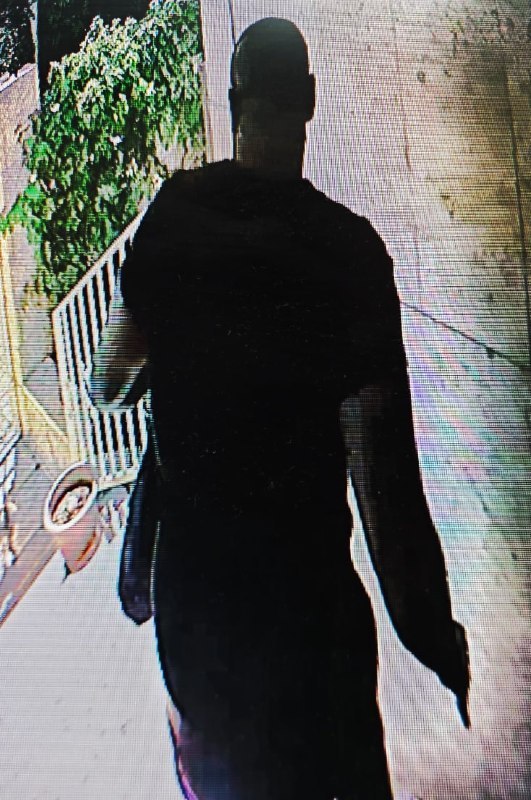 ענבר טויזר