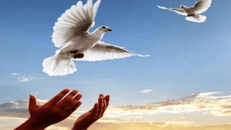 آخرین خبر مازندران: ♦️آزادی ۲ زندانی جرائم غیرعمد در تنکابن به برکت موقوفات🔹رئیس اداره اوقاف و امور خیریه شهرستان تنکابن: به برکت موقوفات خی