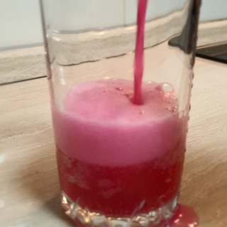 Fermentum LAB