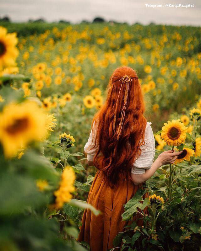 آرامش با 💐|RangiRangi: ‌بخند که جهان با اندوه تو دگرگون نمی شود ...⁦(⁠✯⁠ᴗ⁠✯⁠)⁩🌻🍃🌻🍃🌻🆔@RangiRangitel 🍭‌بخند که جهان با اندوه تو دگرگون نمی شود ..