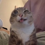 leesoquuo 🐱