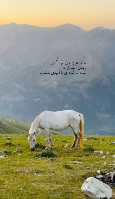 AxProfile | عکس پروفایل: · · ─ @ax_proftel ─ · ·