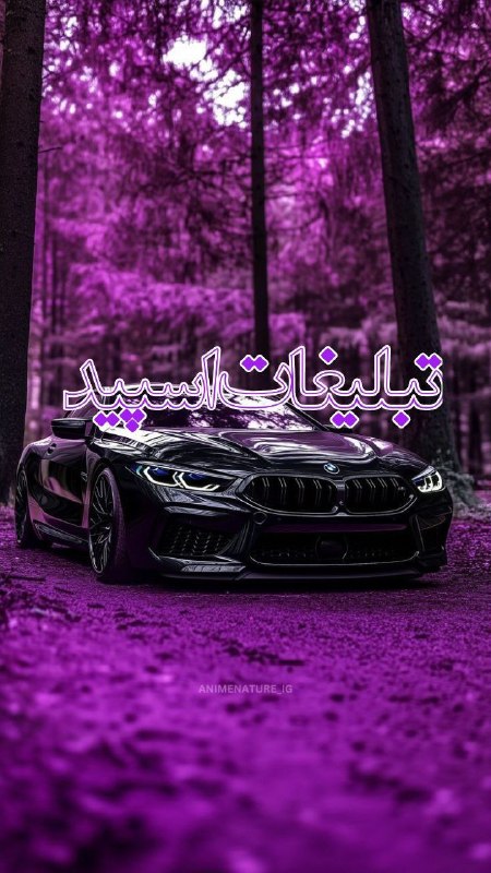 گروه تلگرام | گروه چت | گروه گپ | گروه دوستیابی: ❶﹚ نام : ⎯꯭᪵̽𝆺꯭𝅥𝐖𝐈𝐋𝐃𓆩᪵🜲꯭𓆪̥𝐖𝐎𝐋𝐅⎯꯭꥓᪵ͯ⟶❷﹚ نو؏ تبلیغات : #telegram❸﹚ توضیحات :𝑊𝐸𝐿𝐶𝑂𝑀𝐸 𝑇𝑂┈┈∘┈˃༒˂┈∘┈┈#𝑨𝑩𝑹𝑮𝑷 𝐖𝐈𝐋𝐄𝐃𝐖𝐎𝐋𝐅 sɨռᴄɛ"