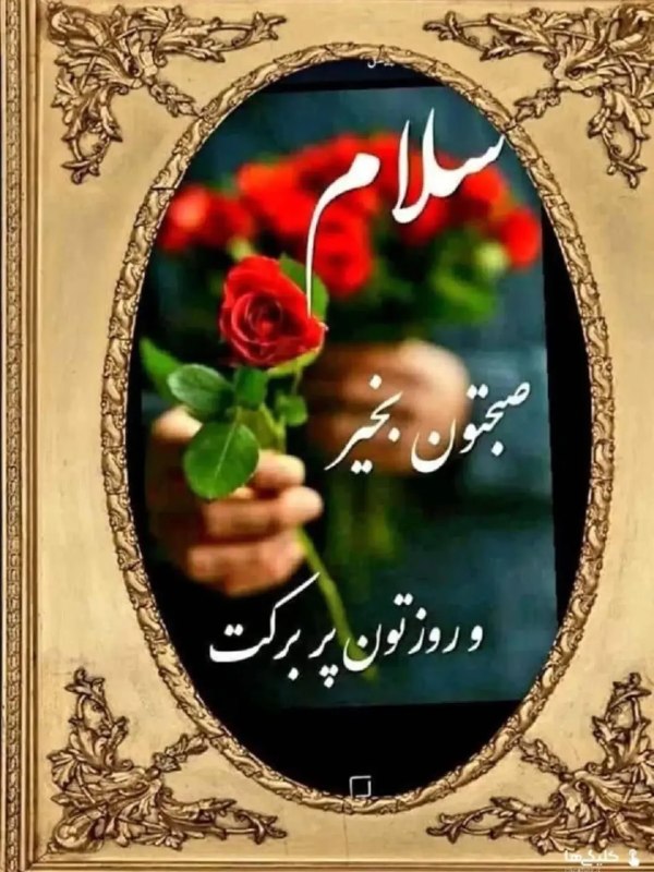 کانال عاشقانه های مینوووو❤️❤️(عشق ودوستی): سلام صبح بخیر 🍃🌹
