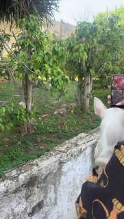 WbUTvlxRPfbDNaJm_O5kpeTQt3Jp1E4Ms-EarGUlnM-SO-d5r3HrWpKdWV7SRbwgwbwJ8LAdVTCIzREA8FDOVMLWGreu5rzd0s1nbvY_EVFIEonjvDI2pyPcE_t1hnbuk9KEcyMZckuja0D76XkL-yCzkWl75u0ClDE1GEc7xlP8cfz1wmzWFUTxjr_vlg4sEgVjoioABxxt82TZ94h-u-VUPW5RwZ9qN9UF1FM-eYhEfSEgO4nNA-eVDRvbAsEUR1lv2ZX6RxmoqMv6sSbe4uuxsb175viZklhZSfTmKJGgMzuzLwVZjQopc4EohRyklMGLle48hzrkh4ABQG5ZBg