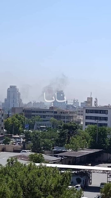 ספיר ליפקין