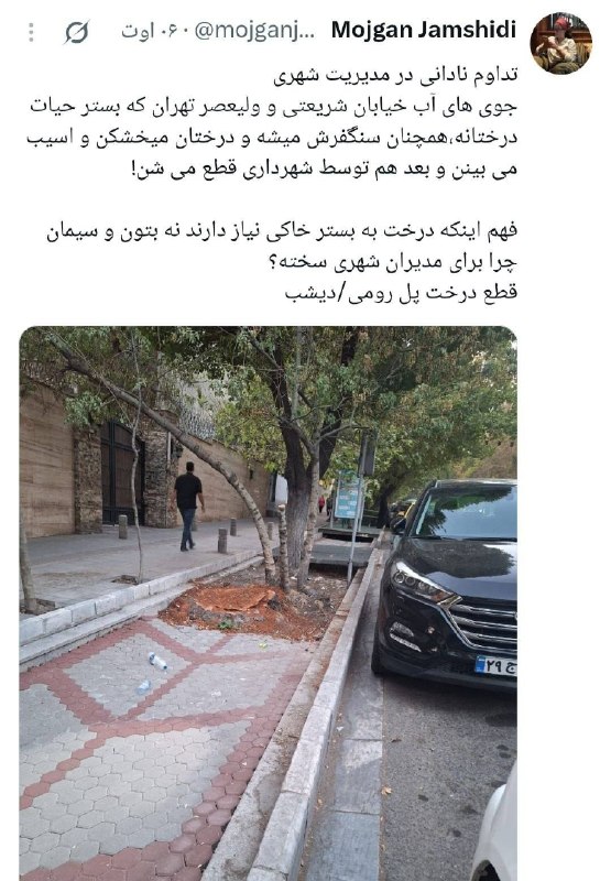 تحلیل زمانه: 🔴مژگان جمشیدی: جویهای آب خیابانهای تهران همچنان سنگفرش میشوند، درختان خشک میشوند و بعد هم توسط شهرداری قطع می شوند.#