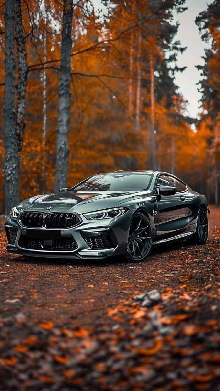 https://t.me/bmw_mpower_club