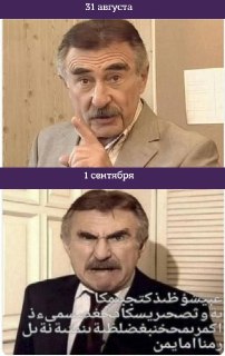 В российских школах будут учить арабский язык. Утверждённая программа начнёт действовать в школах России с 1 сентября нового учебного года, сообщил министр просвещения Сергей Кравцов