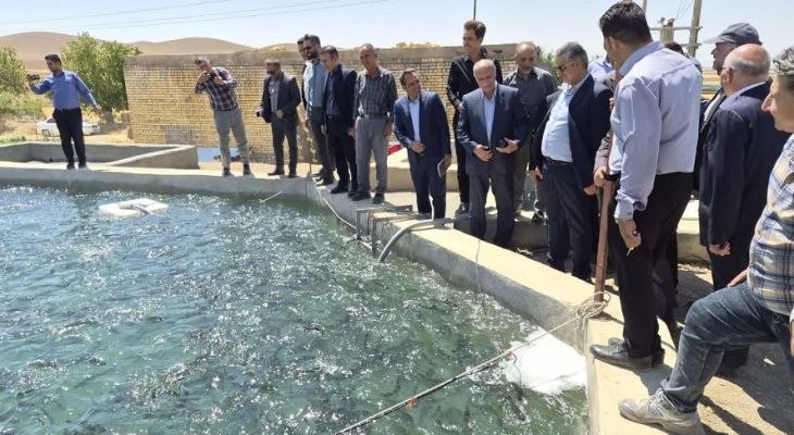 دیار آفتاب (اخبار استان مرکزی): 🔻 بهرهبرداری از ۱۳ طرح آبزیپروری در استان مرکزی💬 حمیدرضا کتانفروش، رئیس سازمان جهاد کشاورزی استان مرکزی:🔹 ۱۳ طرح آبزی