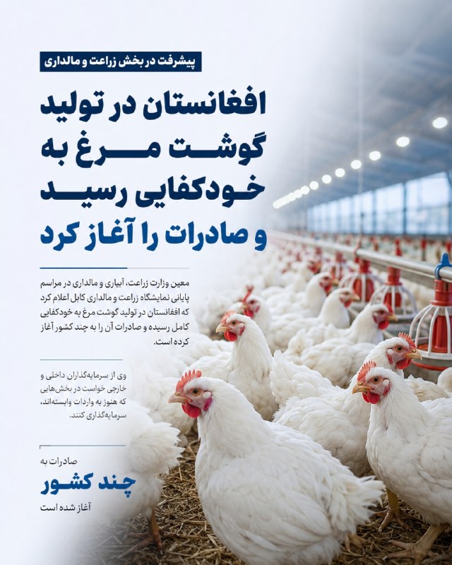 خبرتازه افغانستان: افغانستان در تولید گوشت مرغ به خودکفایی رسید و صادرات را آغاز کردمعین وزارت زراعت، آبیاری و مالداری در مراسم پایانی نمای