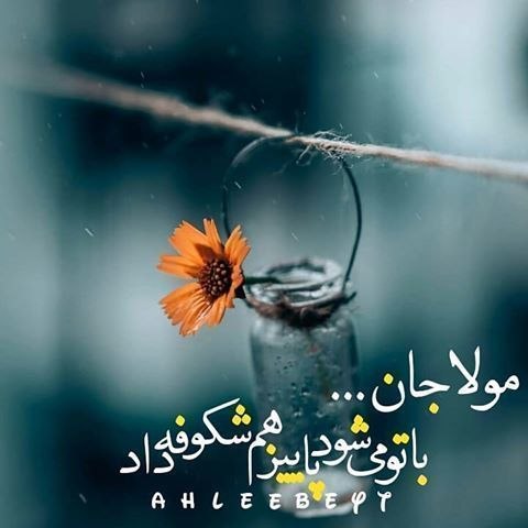 تهران نیوز: #سلام_امام_زمانم💗صبـح سرشار از،عطرخواستن توستوحضورت درلابہلاےجوانہهاے آفتـاب بیشترحس ميشودچقدرتڪرار نامتبا هرلحظہ از ر