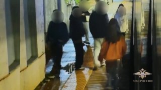 הקולגות שלי עצרו ונדלים קלים. בחמש קרונות של הרכבת החשמלית של איוולגה שנסעו מפריאזינו למוסקבה, הם קרעו את פ…