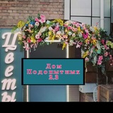 Я не умер 🌺🌦️Дом подопытных №2.3🌥️🌺 [записки сумасшедшего ].
