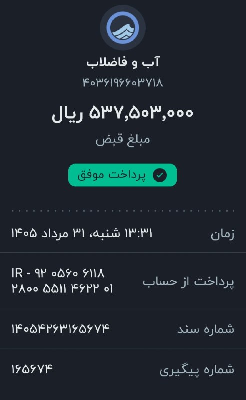 گروه مردمی پایان کارتن خوابی: قبض آب خانه مولوی در حالی پرداخت شد که مشارکت در این بخش کمتر از ده درصد بودو ما مجبور شدیم از بودجه بخش های مختلف مجموع