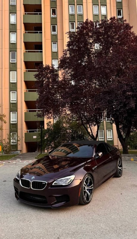 https://t.me/bmw_mpower_club