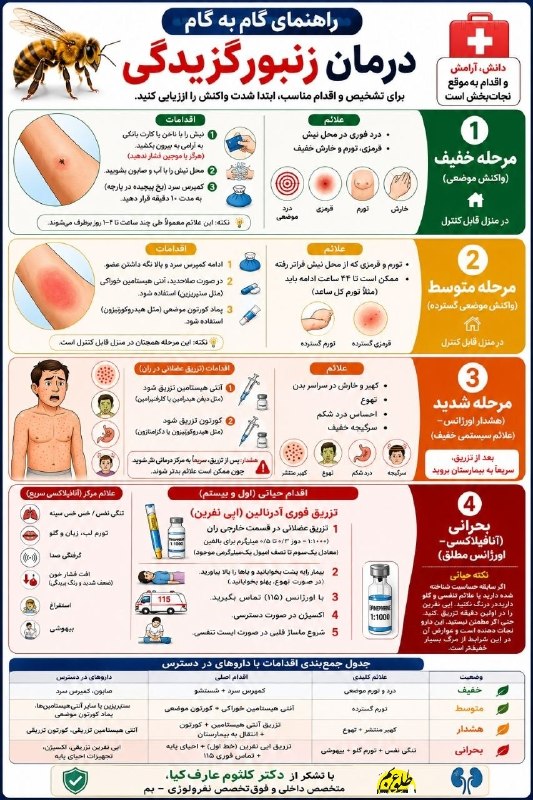 هفته‌ نامه طلوع بم: 🐝 راهنمای گام به گام درمان زنبور گزیدگی🔺ویژه ایام برداشت خرمابا تشکر از دکتر کلثوم عارفکیامتخصص داخلی و فوق‌تخصص نفرولوژ