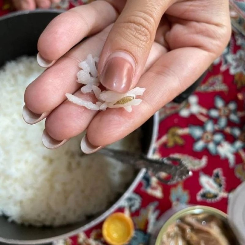 سایت خبری-تحلیلی کلمه: 🔴 مشاهده کرم در غذای دانشجویان علوم پزشکی اصفهان!بنا بر تصاویر منتشرشده در شبکه‌های اجتماعی، روز گذشته در غذای دانشجویان