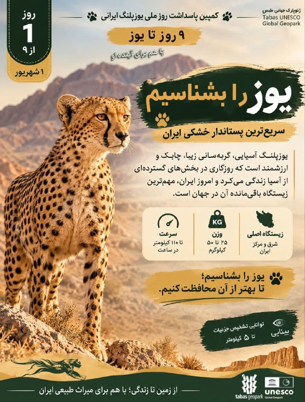 طبسیا 🌴: ✅ ۹ روز تا یوز ایرانی 🐆 🔹یوزپلنگ ایرانی (آسیایی)، یکی از ارزشمندترین و در عین حال آسیبپذیرترین گونههای حیاتوحش ایران