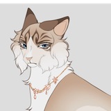 ︶⏝ ✨ ۪ серед спокою лісу ֪ ︶⏝
