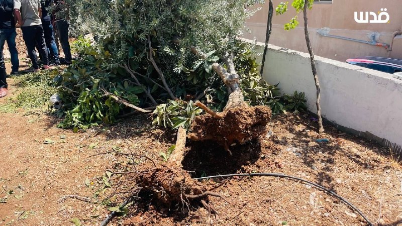 רשת חדשות ירושלים