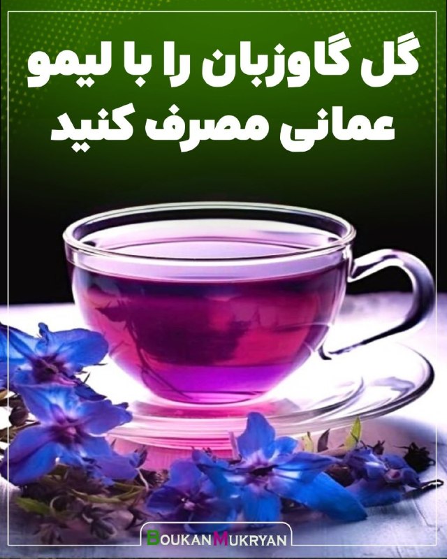 پایگاه خبری بوکان موکریان: #پزشکی🔴 گل گاوزبان را با لیمو عمانی مصرف کنید ▫️گل گاو زبان با لیمو عمانی ،هم سبب بهتر رنگ دادن می شود و هم معطر می کند