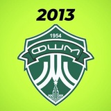 ФШМ 2013⚽️